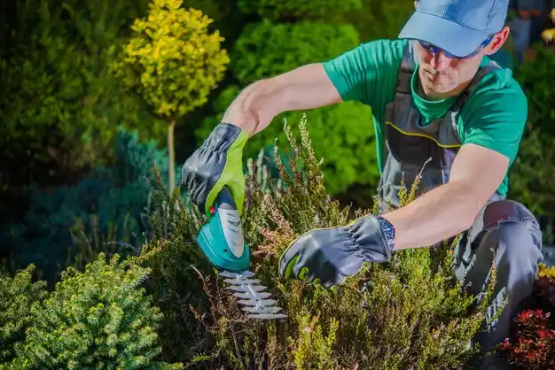 landscaping services Stockport